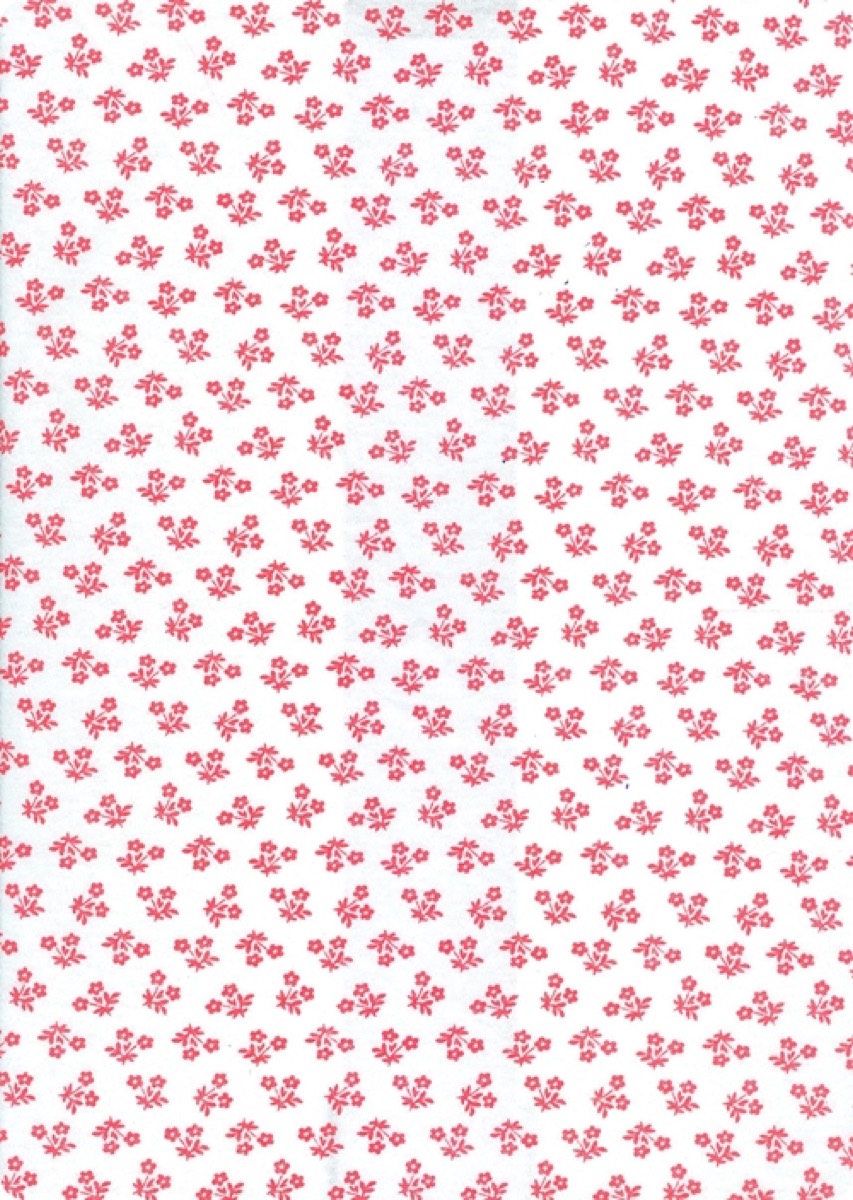 Çitlembik knitted fabric print design